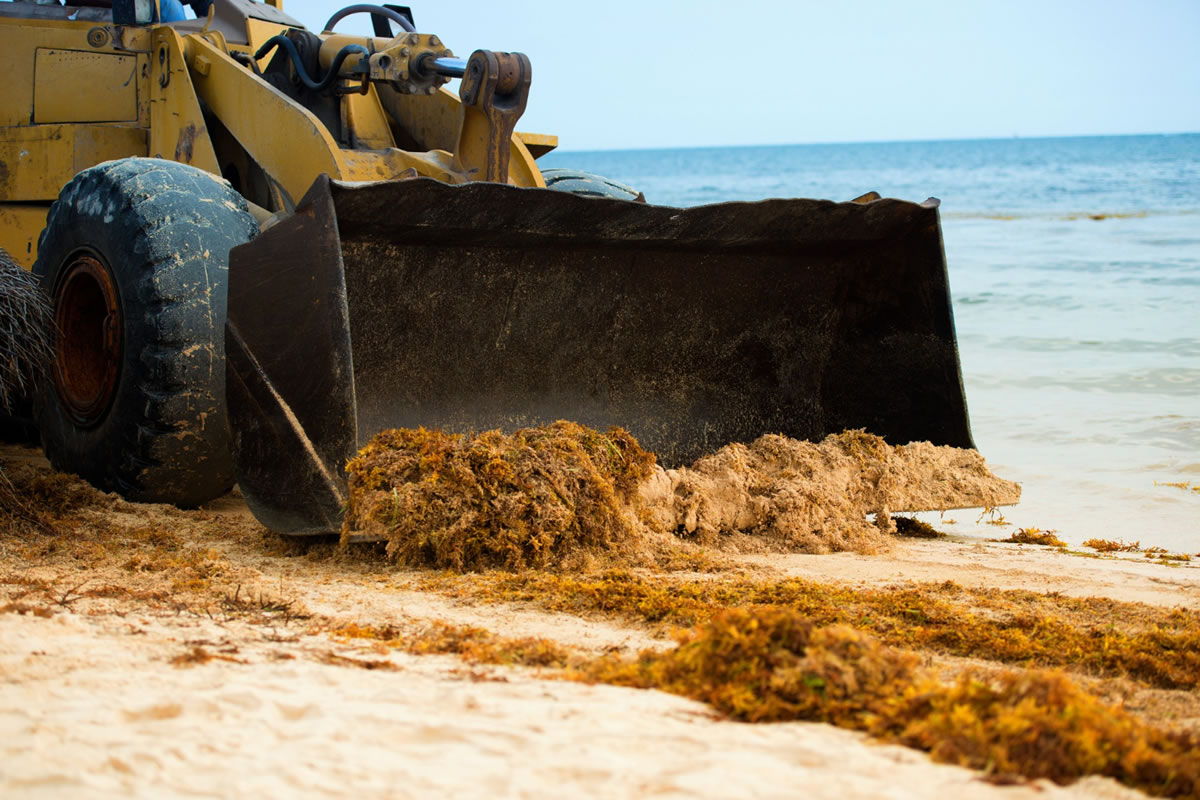 Five Costs Associated with Land Development in Flagler Beach