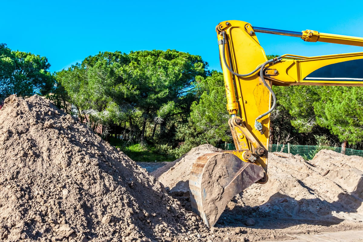 The Significance of Land Clearing