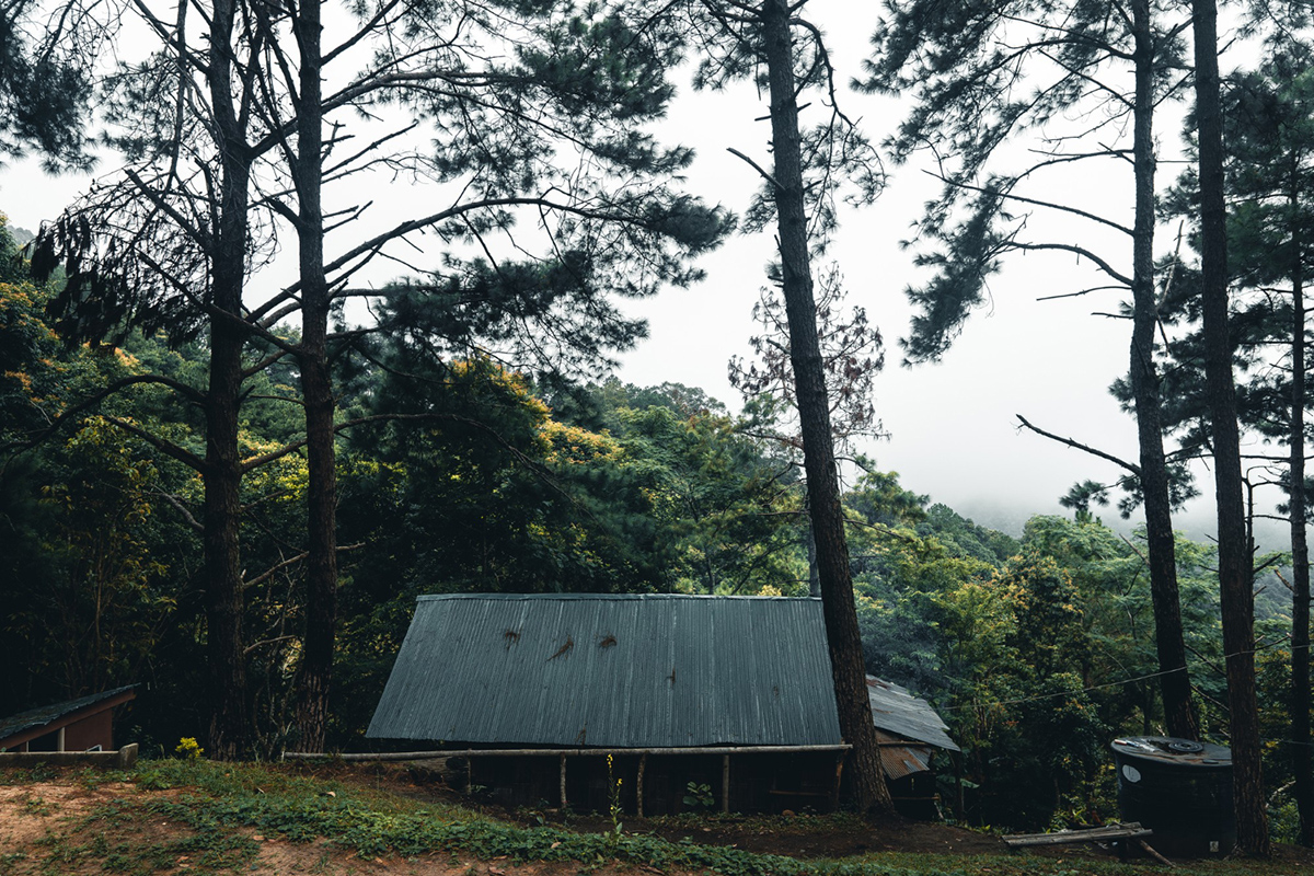 The Perks of Off-Grid Living: Exploring the Benefits