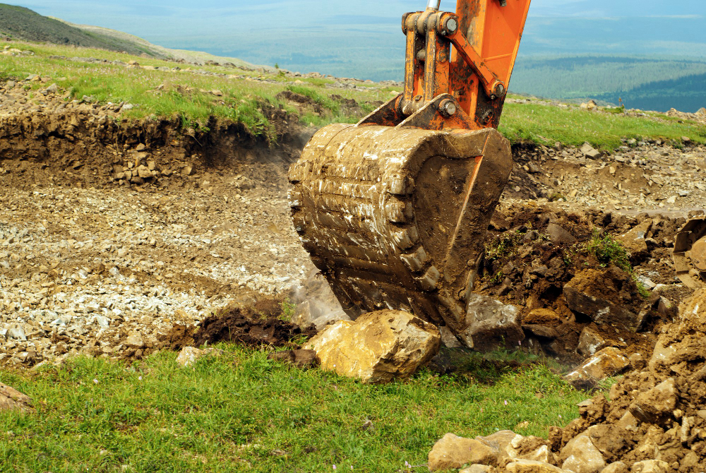 The Ultimate Guide to Land Clearing After Acquiring Property