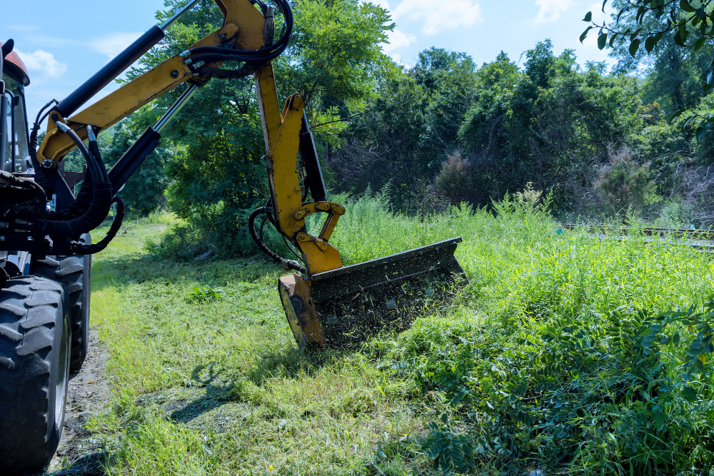 How Land Clearing and Excavation Work Together in Flagler Beach