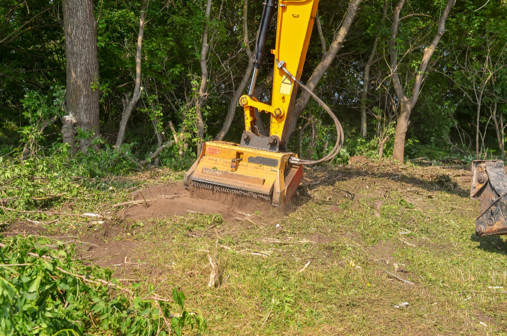 Why Is Raw Land Cheaper Than An Improved Lot?