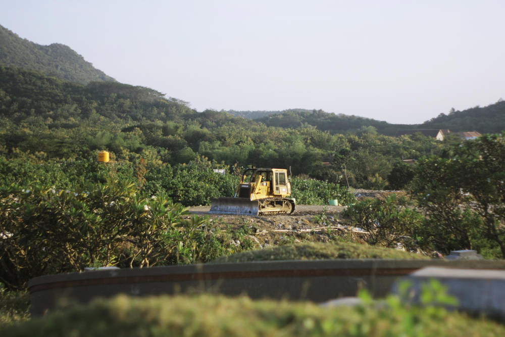 Eco-Friendly Land Clearing Methods
