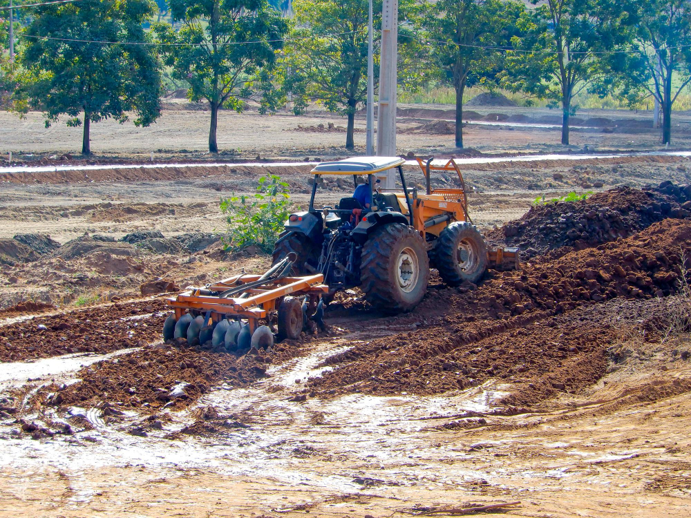 Cheapest Way to Clear Land in Ormond Beach, FL